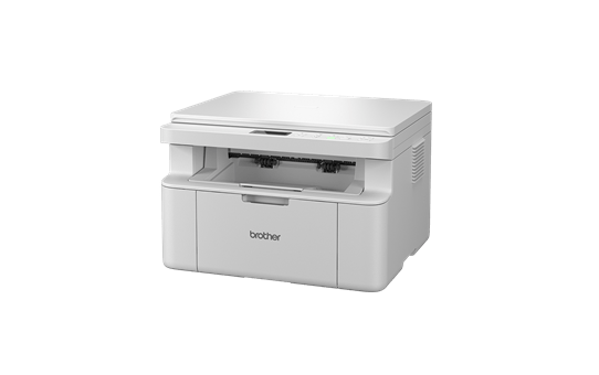 Brother DCP L1630W